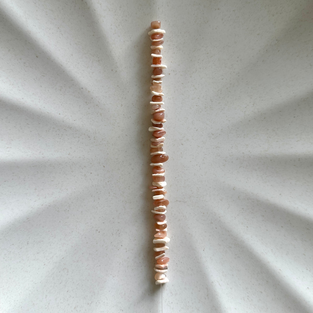 Shell & Stone